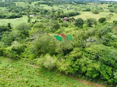 Fazenda / Sítio / Chácara com 3 Quartos à venda, 100m² no Centro, Alagoa Nova - Foto 21