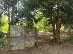 Fazenda / Sítio / Chácara à venda, 30000m² no Campo Alegre, Nova Iguaçu - Foto 12