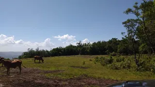 Fazenda / Sítio / Chácara à venda, 620000m² no Mato Queimado, Gramado - Foto 8