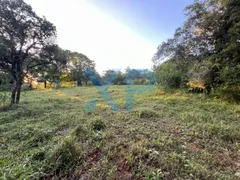 Fazenda / Sítio / Chácara com 2 Quartos à venda, 60m² no Zona Rural, São Sebastião do Oeste - Foto 27