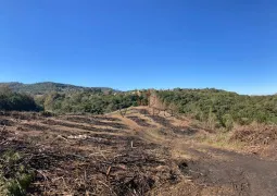 Terreno / Lote / Condomínio à venda, 70000m² no Varzea Grande, Gramado - Foto 15