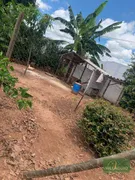 Fazenda / Sítio / Chácara com 3 Quartos à venda, 250m² no , Monte Alto - Foto 21