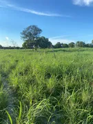 Fazenda / Sítio / Chácara à venda no Zona Rural, São Valério da Natividade - Foto 13