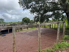 Fazenda / Sítio / Chácara com 5 Quartos à venda, 100m² no Zona Rural, Nossa Senhora do Livramento - Foto 20