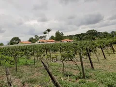 Fazenda / Sítio / Chácara com 2 Quartos à venda, 82m² no Bom Retiro, Porto Feliz - Foto 23