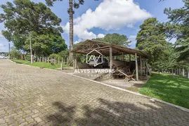 Fazenda / Sítio / Chácara com 4 Quartos à venda, 300m² no Jardim da Colina, Campina Grande do Sul - Foto 45