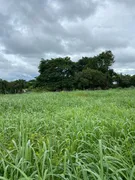 Fazenda / Sítio / Chácara à venda no Zona Rural, São Valério da Natividade - Foto 5