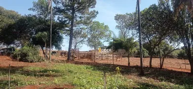Fazenda / Sítio / Chácara à venda, 4m² no Sibipiruna, Araguari - Foto 17