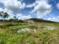 Fazenda / Sítio / Chácara com 3 Quartos à venda, 300m² no Genipabú, Caucaia - Foto 21