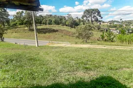 Terreno / Lote Comercial à venda, 9075m² no Samambaia, Campo Magro - Foto 4