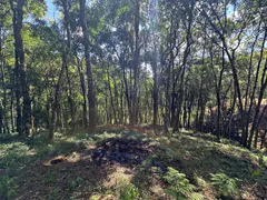 Fazenda / Sítio / Chácara à venda, 20000m² no Saltinho, Campo Alegre - Foto 6