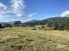 Fazenda / Sítio / Chácara com 3 Quartos à venda, 267m² no Zona Rural, Bom Retiro - Foto 16