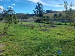 Fazenda / Sítio / Chácara com 2 Quartos à venda, 2000m² no São Carlos, Pouso Alegre - Foto 8