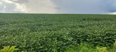 Fazenda / Sítio / Chácara à venda, 195400m² no Paranoá, Brasília - Foto 1