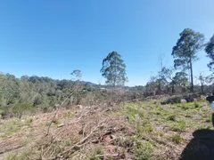 Fazenda / Sítio / Chácara à venda, 20368m² no Tijuco Preto, Jundiaí - Foto 7