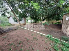 Fazenda / Sítio / Chácara à venda, 1000m² no Morada Nova, Uberlândia - Foto 6