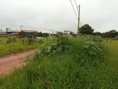 à venda, 10000m² no Bela Vista, Uberlândia - Foto 2