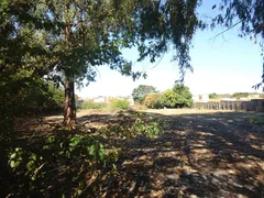 Terreno / Lote / Condomínio para alugar, 4400m² no Jardim Hikare, São Carlos - Foto 6