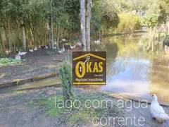 Fazenda / Sítio / Chácara com 3 Quartos à venda, 180m² no Casa Vermelha, Ribeirão Pires - Foto 9