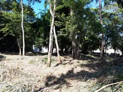 Terreno / Lote / Condomínio à venda, 1645m² no Itaipu, Niterói - Foto 3