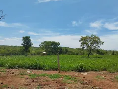 Fazenda / Sítio / Chácara com 2 Quartos à venda, 13000m² no Zona Rural, Faina - Foto 1