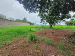 Terreno / Lote / Condomínio à venda, 1000m² no Morada dos Pássaros, Uberlândia - Foto 6