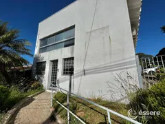 Galpão / Depósito / Armazém para venda ou aluguel, 292m² no Nova Campinas, Campinas - Foto 6