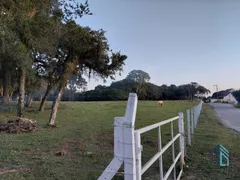 Terreno / Lote / Condomínio à venda, 31420m² no Campina do Taquaral, São José dos Pinhais - Foto 3