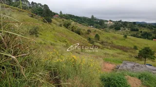 Terreno / Lote / Condomínio à venda, 5000m² no Parque Agrinco , Guararema - Foto 6