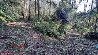 Terreno / Lote / Condomínio à venda, 50000m² no Linha Brasil, Nova Petrópolis - Foto 4