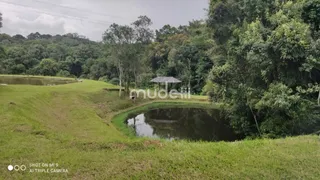 Fazenda / Sítio / Chácara com 4 Quartos à venda, 36000m² no Roça Velha, São José dos Pinhais - Foto 11