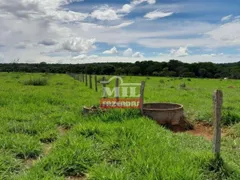 Fazenda / Sítio / Chácara com 4 Quartos à venda, 242000m² no Zona Rural, Bonfinópolis - Foto 5