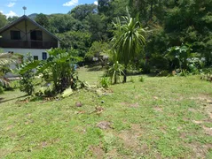 Fazenda / Sítio / Chácara com 4 Quartos à venda, 250m² no Lagoinha, Tijucas do Sul - Foto 1