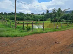 Fazenda / Sítio / Chácara com 2 Quartos à venda, 20000m² no Centro, Piracaia - Foto 16