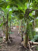 Fazenda / Sítio / Chácara com 5 Quartos à venda, 300m² no Parque da Grama, Indaiatuba - Foto 50