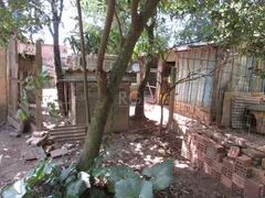 Galpão / Depósito / Armazém com 2 Quartos à venda, 80m² no Lageado, Porto Alegre - Foto 4