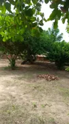 Fazenda / Sítio / Chácara com 3 Quartos à venda, 12m² no , Serrinha - Foto 10