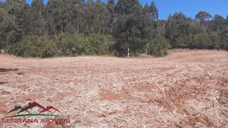 Terreno / Lote / Condomínio à venda, 50000m² no Linha Brasil, Nova Petrópolis - Foto 19