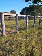 Fazenda / Sítio / Chácara à venda no Zona Rural, Urucuia - Foto 18