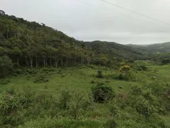 Fazenda / Sítio / Chácara com 2 Quartos à venda, 895400m² no Santa Terezinha, São Luiz do Paraitinga - Foto 17
