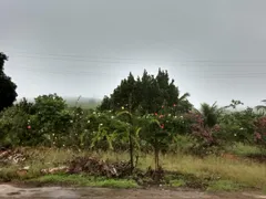 Fazenda / Sítio / Chácara com 2 Quartos à venda, 2500m² no Area Rural de Vitoria do Santo Antao, Vitória de Santo Antão - Foto 14