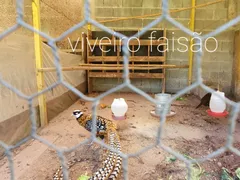 Fazenda / Sítio / Chácara com 1 Quarto à venda, 250m² no Casa Vermelha, Ribeirão Pires - Foto 10