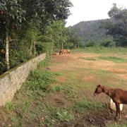 Terreno / Lote Comercial à venda, 32000m² no Jacarepaguá, Rio de Janeiro - Foto 5