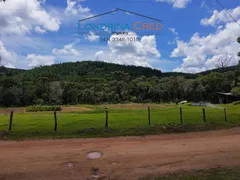 Fazenda / Sítio / Chácara com 4 Quartos à venda, 300m² no Zona Rural, Mandirituba - Foto 4