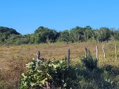 Fazenda / Sítio / Chácara com 2 Quartos à venda, 12600m² no , Itaporanga d'Ajuda - Foto 3