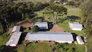 Fazenda / Sítio / Chácara com 1 Quarto à venda, 60000m² no Serra Grande, Gramado - Foto 10