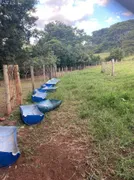 Fazenda / Sítio / Chácara com 3 Quartos à venda, 6m² no Centro, São Simão - Foto 9