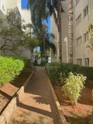 Apartamento com 2 Quartos à venda, 50m² no Residencial Colorado, São José do Rio Preto - Foto 12