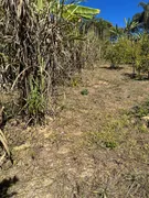 Fazenda / Sítio / Chácara com 3 Quartos à venda, 4000m² no Zona Rural, Itatiaiuçu - Foto 8