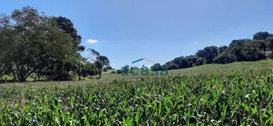 Fazenda / Sítio / Chácara à venda, 251500m² no Iguipora, Marechal Cândido Rondon - Foto 19